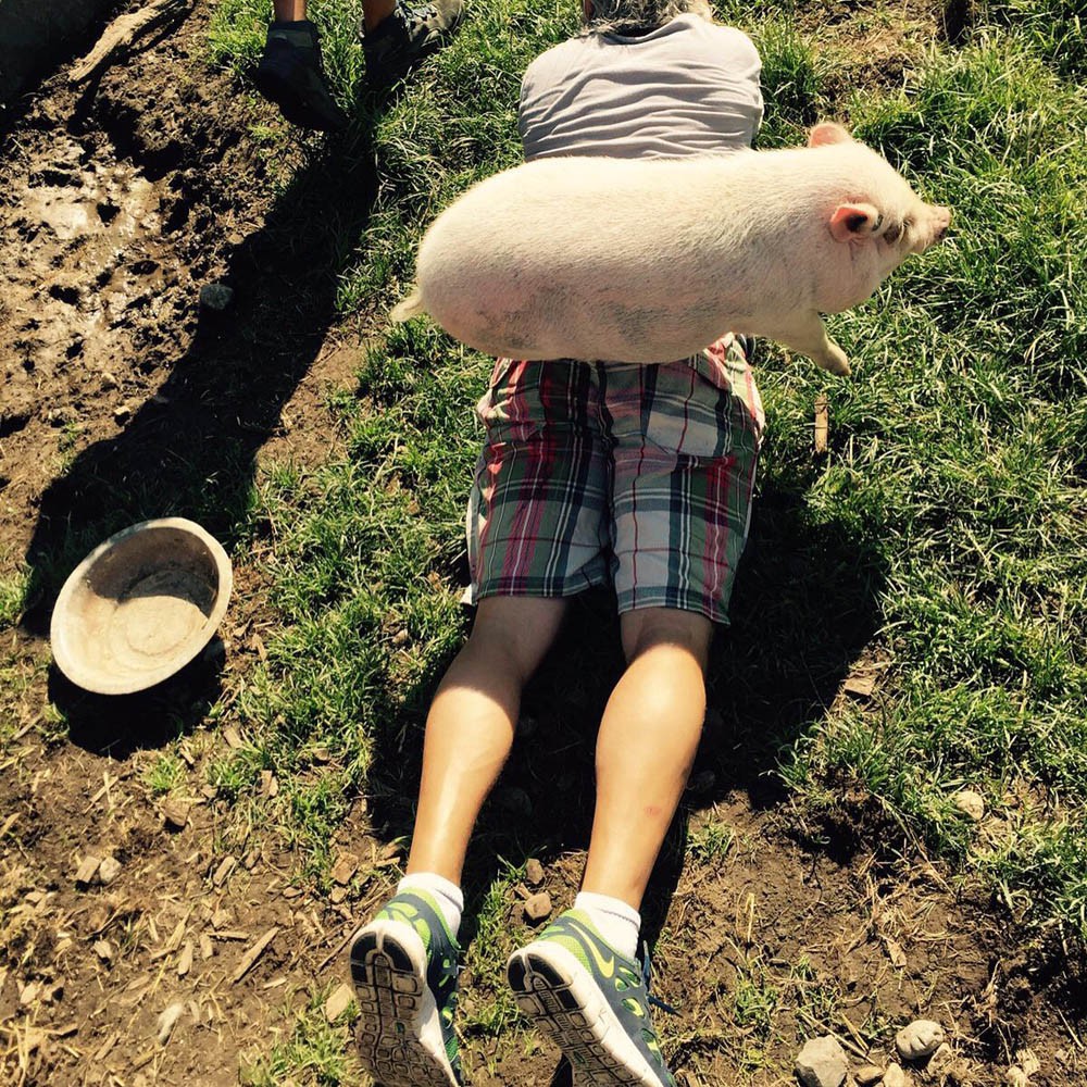 Allgäu Tourismus – echt Schwein gehabt Allgäu Tourismus – echt Schwein gehabt